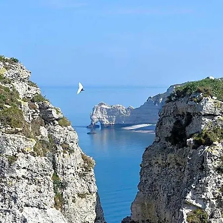 Detective 2* Étretat